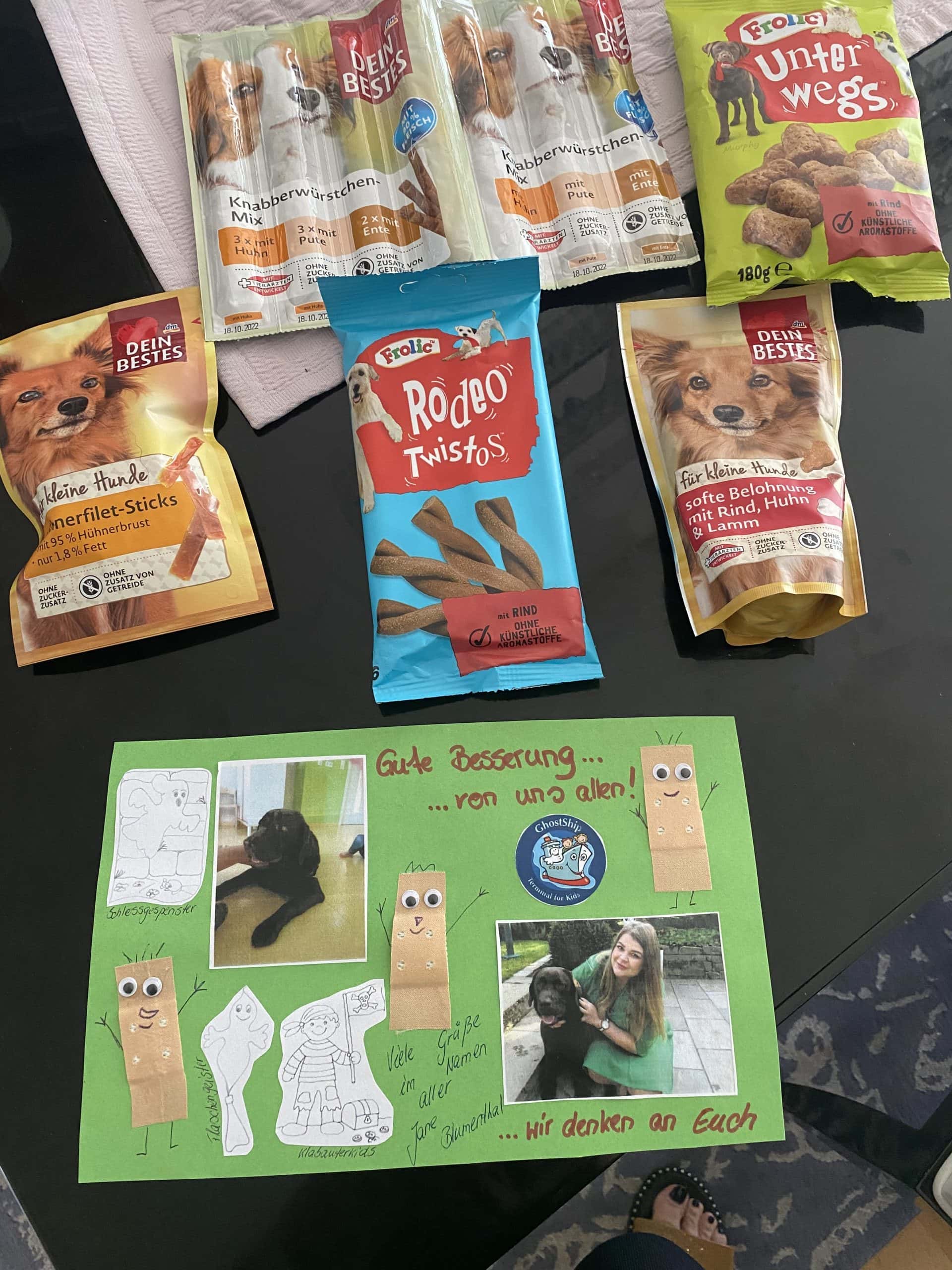 Gute Besserung, Frodo!